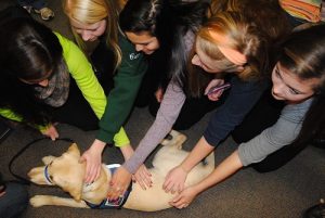 Students had their spirits lifted by spending some quality time with the therapeutic puppies brought in the week before winter break. Photo By: Mackenzie Britt